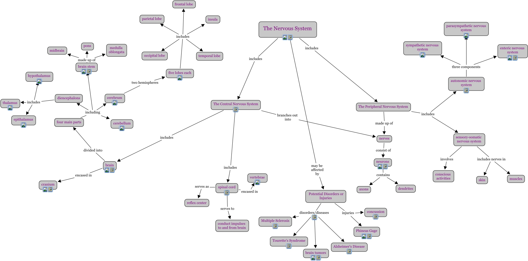 Sarah Lilienthal.cmap Biology Diagrams